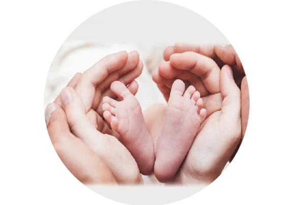 Egg Donation